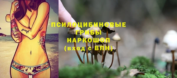 ешки Гусь-Хрустальный