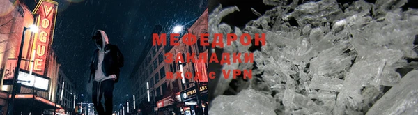 индика Гусев