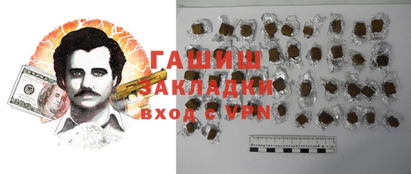 индика Гусев