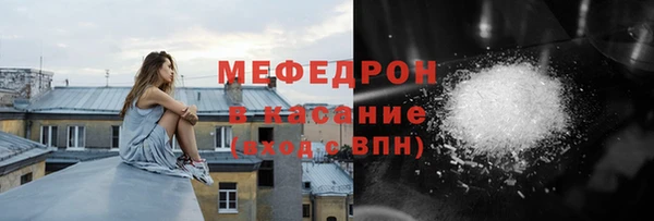 индика Гусев