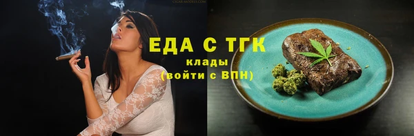 индика Гусев