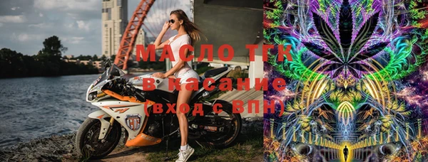 индика Гусев