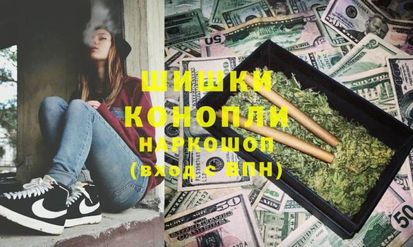 индика Гусев
