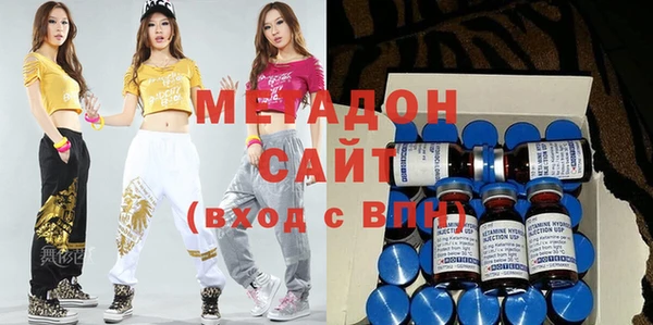 индика Гусев