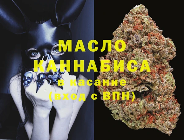 индика Гусев