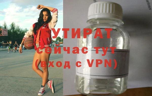 индика Гусев