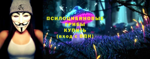 индика Гусев