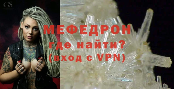 индика Гусев