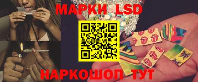 прущие крисы Кингисепп