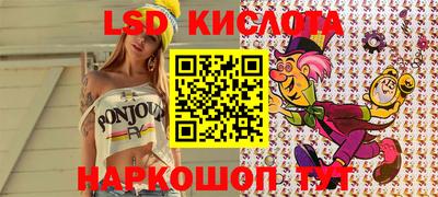 прущие крисы Кингисепп