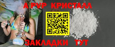 прущие крисы Кингисепп