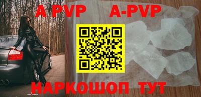 прущие крисы Кингисепп