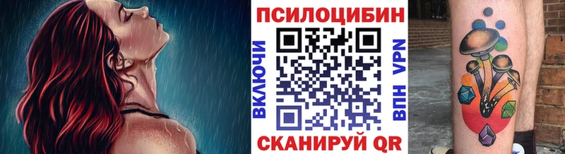 Псилоцибиновые грибы Psilocybe  дарнет шоп  мега ТОР  Похвистнево 